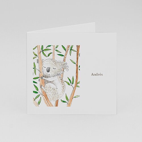 Invitation Koala aquarelle